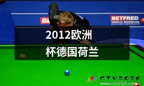 2012欧洲杯德国荷兰