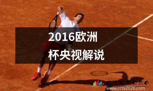 2016欧洲杯央视解说