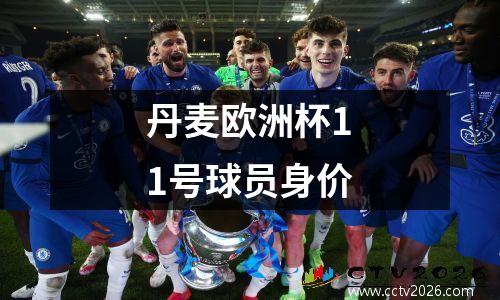 丹麦欧洲杯11号球员身价