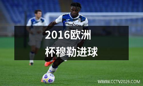 2016欧洲杯穆勒进球