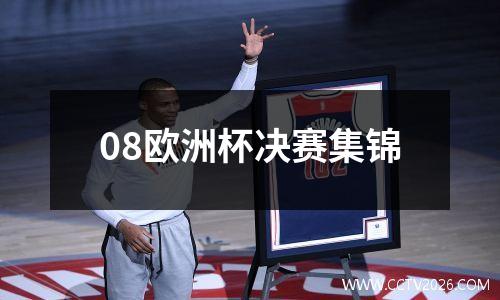 08欧洲杯决赛集锦