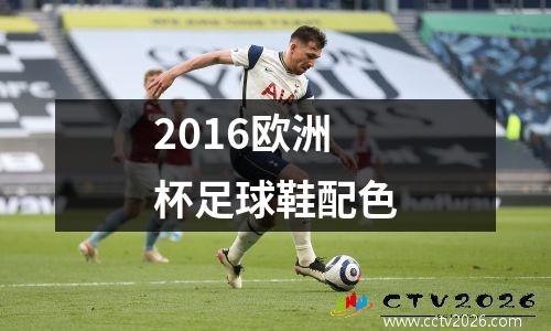 2016欧洲杯足球鞋配色
