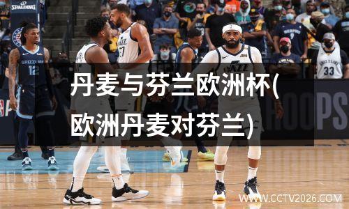 丹麦与芬兰欧洲杯(欧洲丹麦对芬兰)