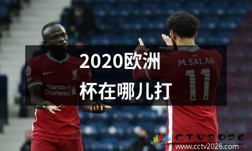 2020欧洲杯在哪儿打