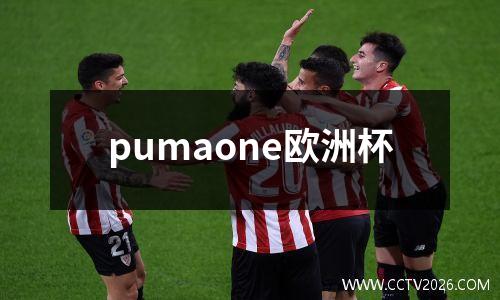 pumaone欧洲杯