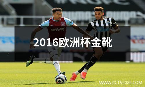 2016欧洲杯金靴