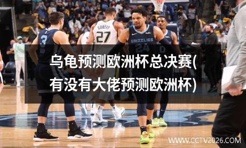 乌龟预测欧洲杯总决赛(有没有大佬预测欧洲杯)