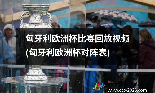 匈牙利欧洲杯比赛回放视频(匈牙利欧洲杯对阵表)