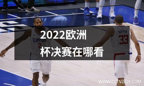 2022欧洲杯决赛在哪看