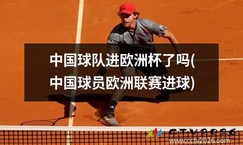 中国球队进欧洲杯了吗(中国球员欧洲联赛进球)