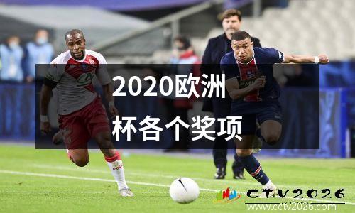 2020欧洲杯各个奖项