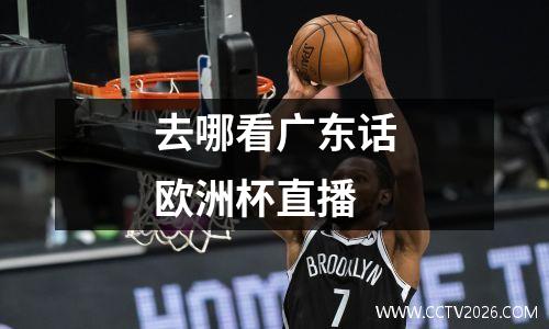去哪看广东话欧洲杯直播