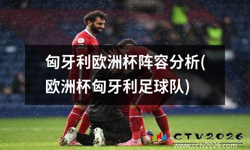 匈牙利欧洲杯阵容分析(欧洲杯匈牙利足球队)