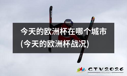 今天的欧洲杯在哪个城市(今天的欧洲杯战况)