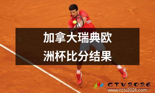 加拿大瑞典欧洲杯比分结果