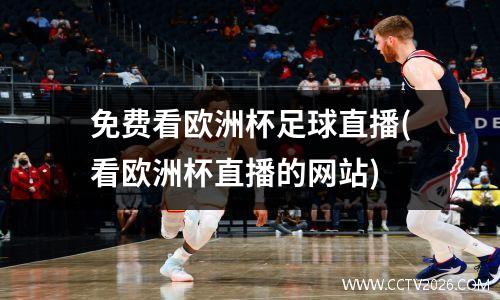 免费看欧洲杯足球直播(看欧洲杯直播的网站)