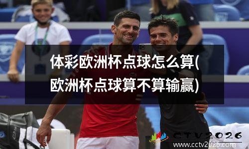 体彩欧洲杯点球怎么算(欧洲杯点球算不算输赢)