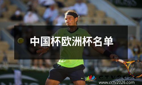 中国杯欧洲杯名单
