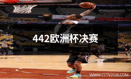 442欧洲杯决赛