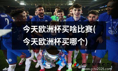今天欧洲杯买啥比赛(今天欧洲杯买哪个)