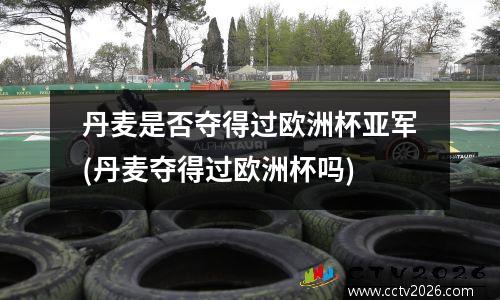 丹麦是否夺得过欧洲杯亚军(丹麦夺得过欧洲杯吗)
