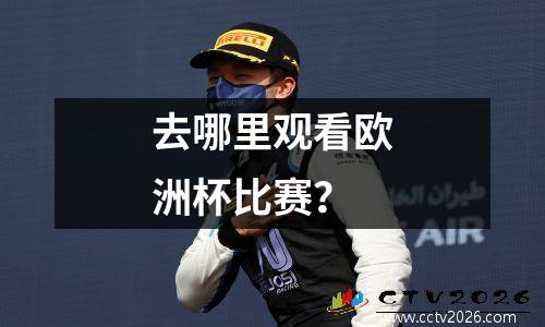 去哪里观看欧洲杯比赛？