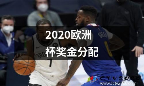 2020欧洲杯奖金分配