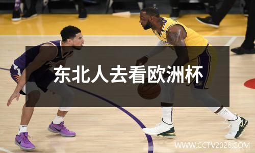 东北人去看欧洲杯