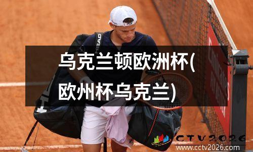 乌克兰顿欧洲杯(欧州杯乌克兰)