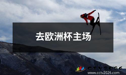 去欧洲杯主场