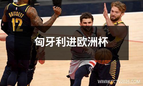 匈牙利进欧洲杯