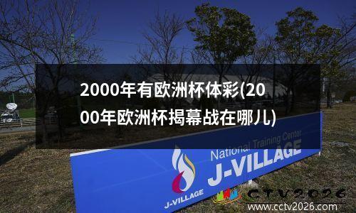 2000年有欧洲杯体彩(2000年欧洲杯揭幕战在哪儿)