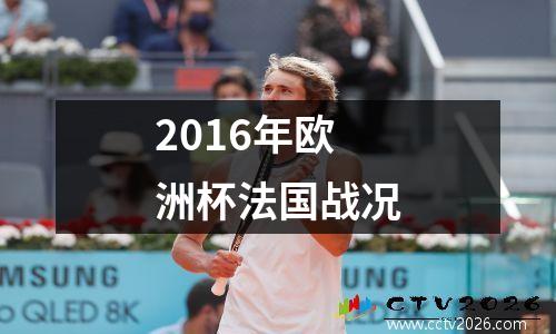 2016年欧洲杯法国战况