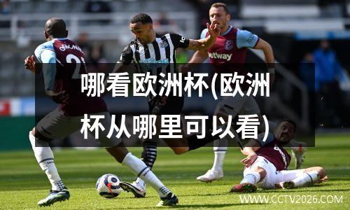 哪看欧洲杯(欧洲杯从哪里可以看)