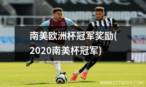 南美欧洲杯冠军奖励(2020南美杯冠军)