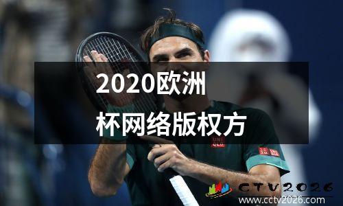 2020欧洲杯网络版权方