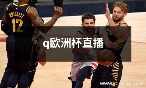 q欧洲杯直播