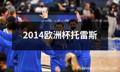 2014欧洲杯托雷斯