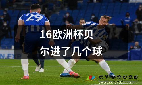 16欧洲杯贝尔进了几个球