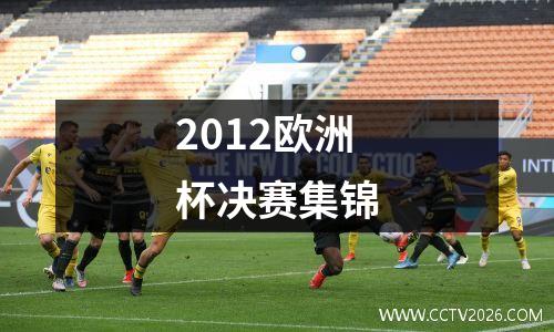 2012欧洲杯决赛集锦