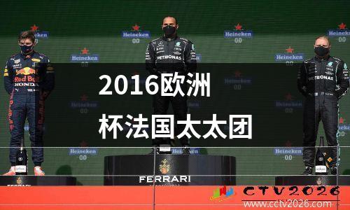 2016欧洲杯法国太太团