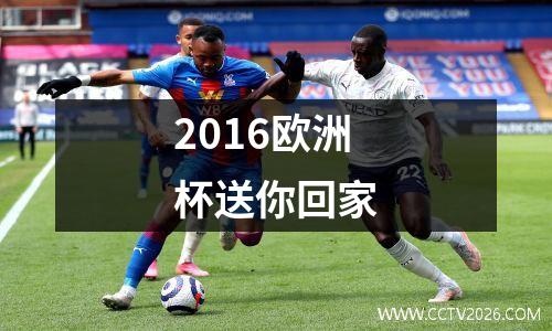 2016欧洲杯送你回家