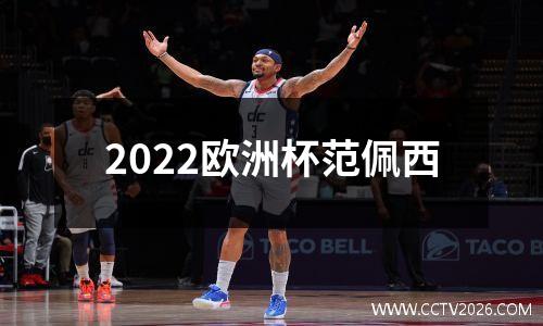 2022欧洲杯范佩西