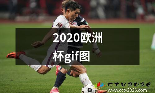 2020欧洲杯gif图