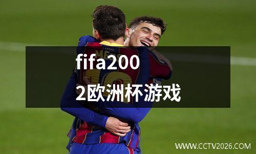 fifa2002欧洲杯游戏