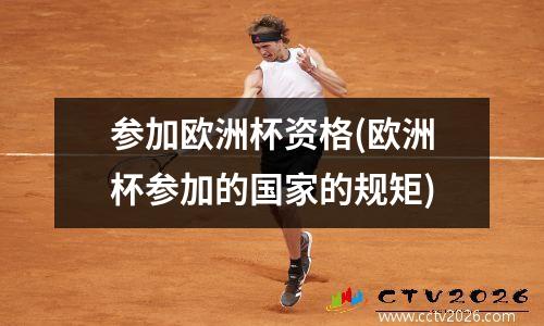 参加欧洲杯资格(欧洲杯参加的国家的规矩)
