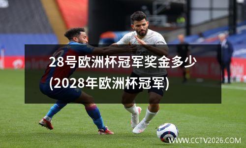28号欧洲杯冠军奖金多少(2028年欧洲杯冠军)