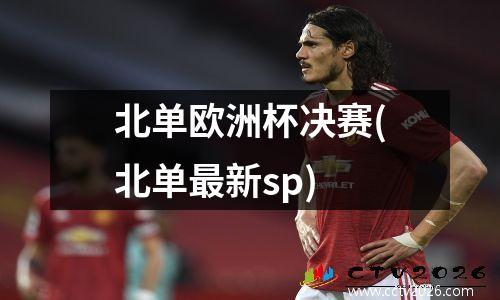 北单欧洲杯决赛(北单最新sp)