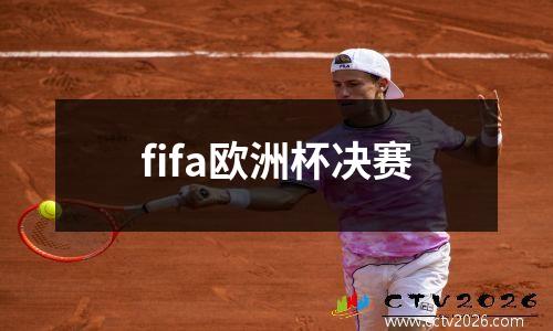 fifa欧洲杯决赛