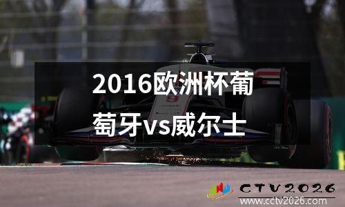 2016欧洲杯葡萄牙vs威尔士